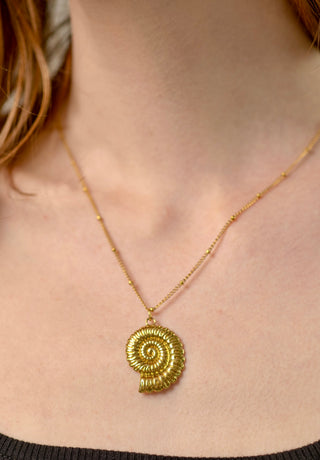 Spiral Shell Necklace