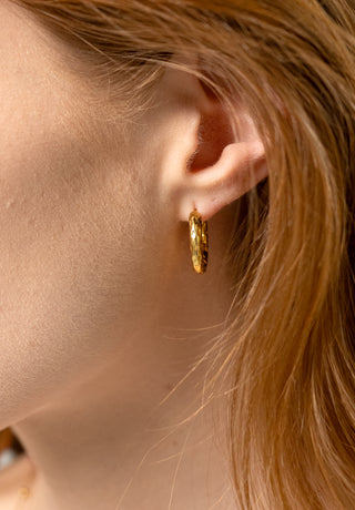 Hammered Hoops Earrings