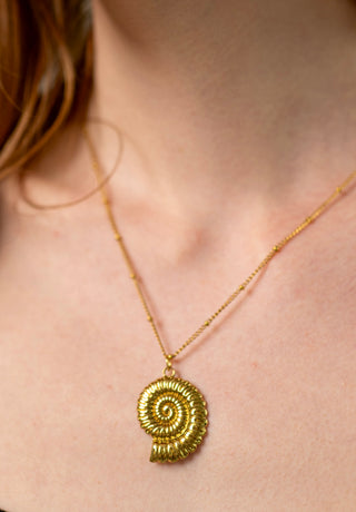 Spiral Shell Necklace